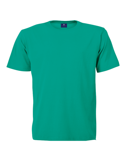 Barron Crew Neck T-Shirt (Set 1)