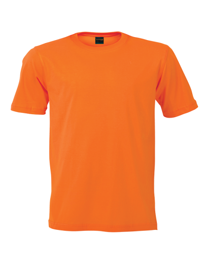 Barron Crew Neck T-Shirt (Set 2)