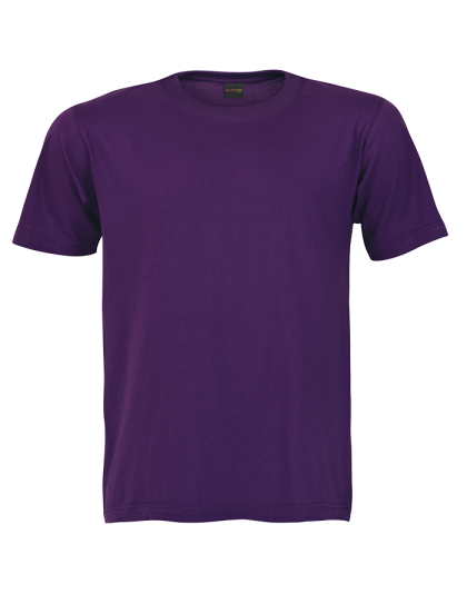 Barron Crew Neck T-Shirt (Set 3)